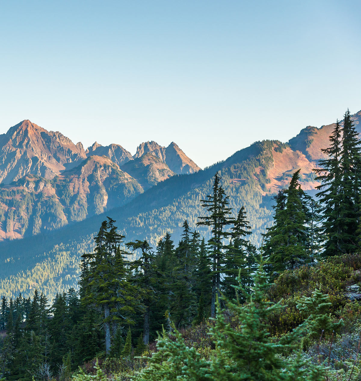 overlooking trees and mountain tops